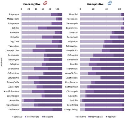 Increase in antibiotic resistance in diabetic foot infections among peruvian patients: a single-center cross-sectional study